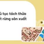 Thủ tục tách thửa đất rừng sản xuất