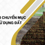 Quy định chuyển mục đích sử dụng đất