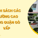 Danh sách các trường cao đẳng quận Gò Vấp