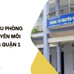 Giới thiệu phòng tài nguyên môi trường quận 1