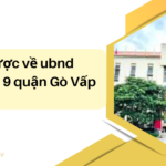 Sơ lược về UBND phường 9 quận Gò Vấp