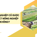 Doanh nghiệp có được mua đất nông nghiệp không