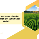 Được kinh doanh sân bóng đá mini trên đất nông nghiệp không?
