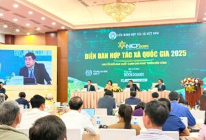 Tối ưu giá trị sử dụng đất đai thay vì chỉ gia tăng sản lượng