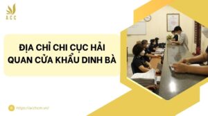Địa chỉ Chi cục Hải quan cửa khẩu Dinh Bà.jpg