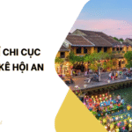 chi cục thống kê Hội An