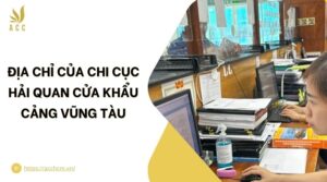 Địa chỉ của Chi cục Hải quan cửa khẩu cảng Vũng Tàu.jpg