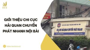 Giới thiệu Chi cục Hải quan Chuyển phát nhanh Nội Bài.jpg