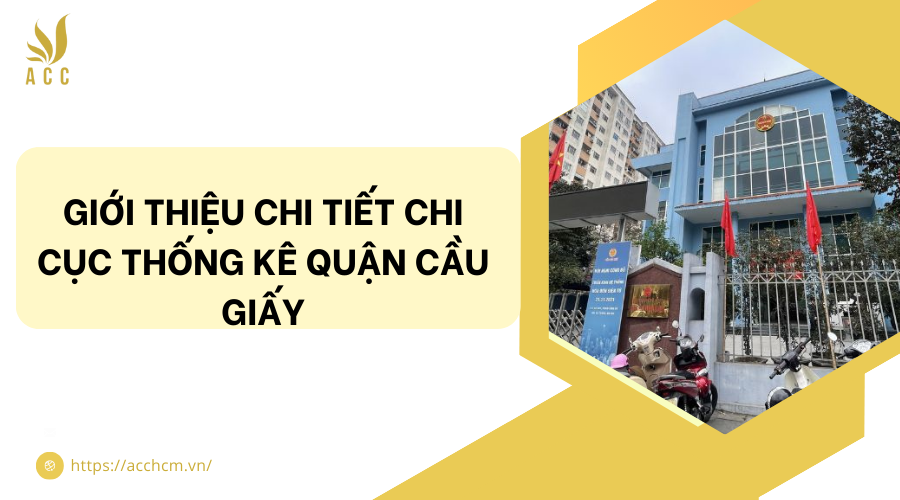 chi cục thống kê quận Cầu Giấy
