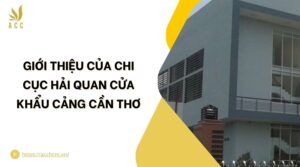 Giới thiệu của Chi cục Hải quan cửa khẩu cảng Cần Thơ.jpg