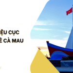 cục thống kê Cà Mau