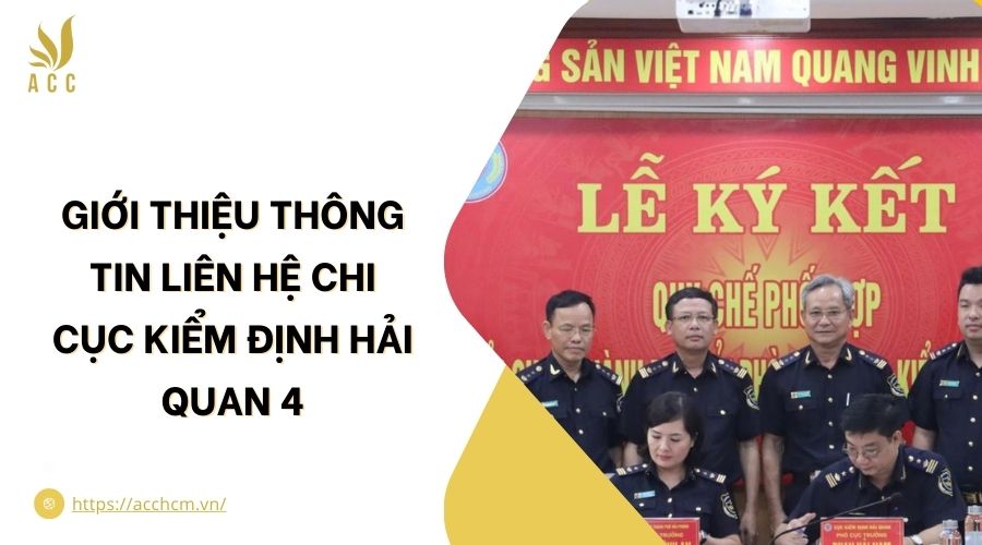 Giới thiệu thông tin liên hệ Chi cục Kiểm định Hải quan 4.jpg