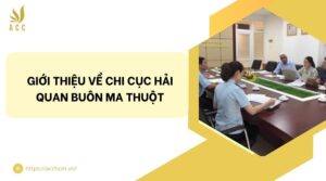 Giới thiệu về Chi cục Hải quan Buôn Ma Thuột.jpg