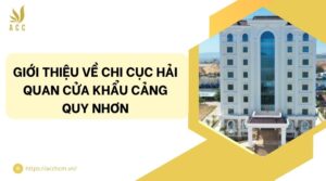 Giới thiệu về Chi cục Hải quan cửa khẩu cảng Quy Nhơn.jpg