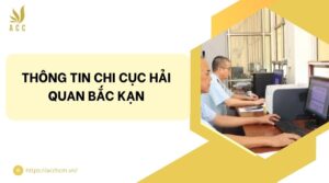 Thông tin Chi cục Hải quan Bắc Kạn.jpg