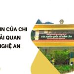 Thông tin của Chi cục Hải quan Vinh Nghệ An.jpg