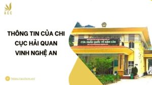 Thông tin của Chi cục Hải quan Vinh Nghệ An.jpg
