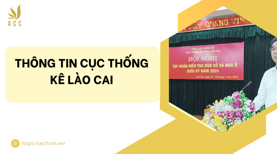 Cục Thống kê Lào Cai