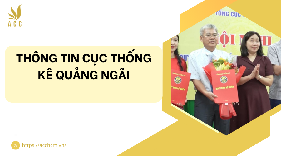 Cục Thống kê Quảng Ngãi