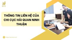 Thông tin liên hệ của Chi cục Hải quan Ninh Thuận.jpg