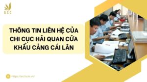 Thông tin liên hệ của Chi cục Hải quan cửa khẩu cảng Cái Lân.jpg