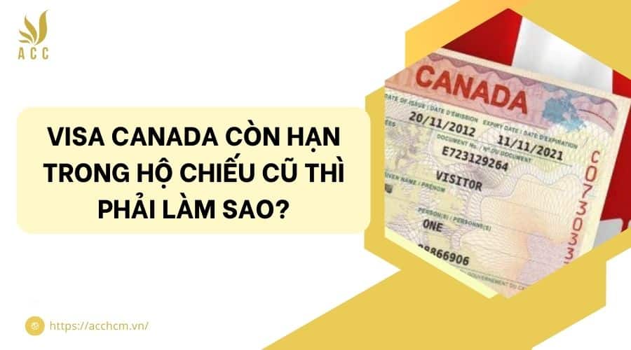 Visa Canada c&ograve;n hạn trong hộ chiếu cũ​ th&igrave; phải l&agrave;m sao?
