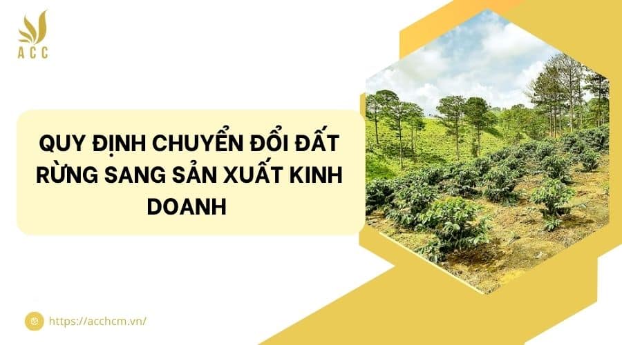 Quy định chuyển đổi đất rừng sang sản xuất kinh doanh 