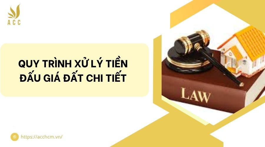 Le Dat Chi Quy trình xử lý tiền đấu giá đất chi tiết
