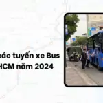 Bản đồ các tuyến xe Bus tại TPHCM năm 2024