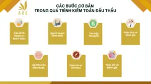 Các bước cơ bản trong quá trình kiểm toán đấu thầu