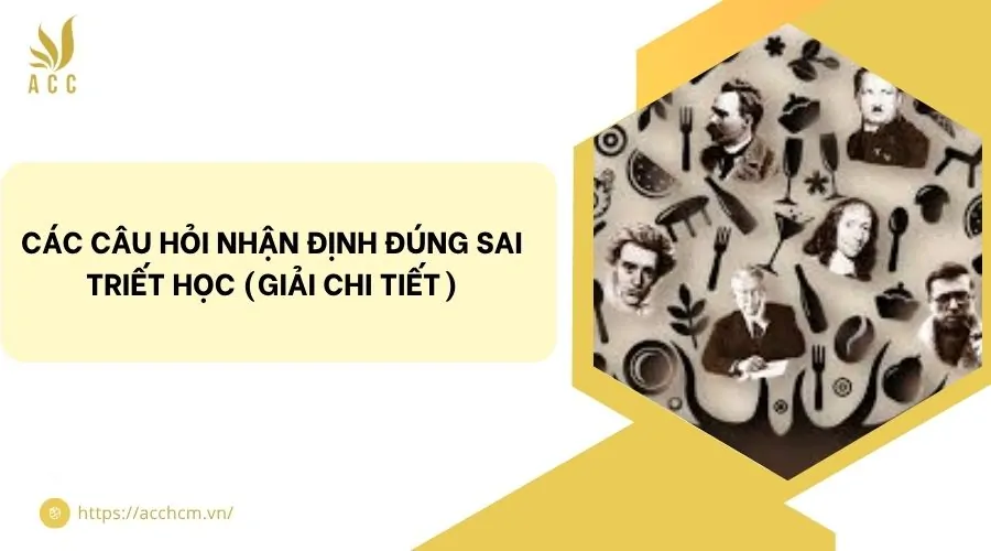 Các câu hỏi nhận định đúng sai triết học (Giải chi tiết)