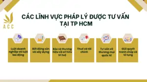 Các lĩnh vực pháp lý được tư vấn tại TP HCM