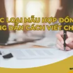 Các loại mẫu hợp đồng, hướng dẫn cách viết chi tiết