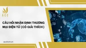 Câu hỏi nhận định thương mại điện tử (có giải thích)