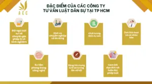 Đặc điểm của các công ty tư vấn luật dân sự tại TP HCM