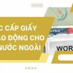 Dịch vụ tư vấn luật hình sự tại TPHCM (2)