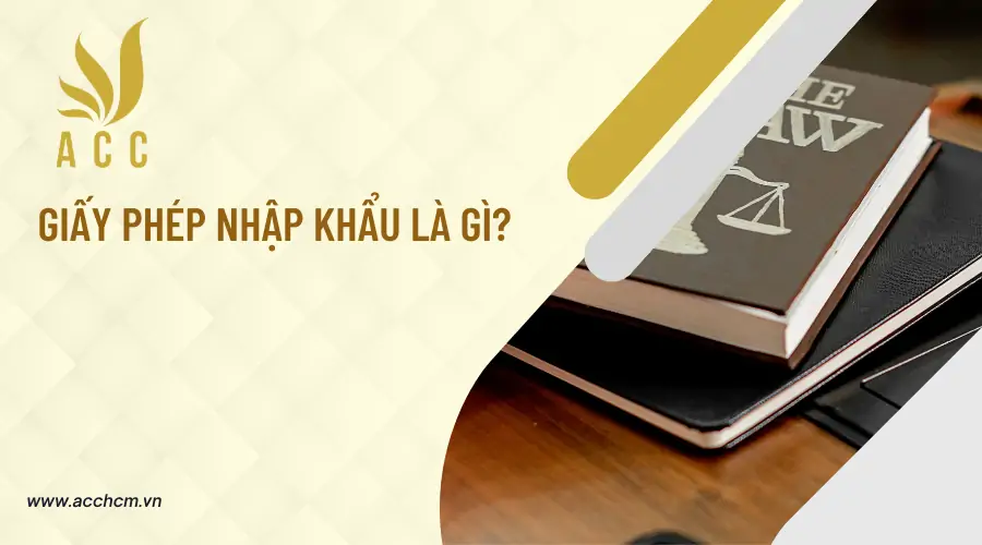 Giay-phep-nhap-khau-la-gi-