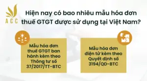 Hiện nay có bao nhiêu mẫu hóa đơn thuế GTGT được sử dụng tại Việt Nam?