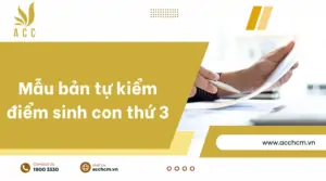 Mẫu bản tự kiểm điểm sinh con thứ 3