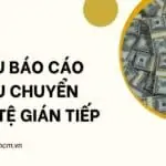 Mẫu báo cáo lưu chuyển tiền tệ gián tiếp