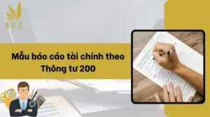 Mẫu báo cáo tài chính theo Thông tư 200