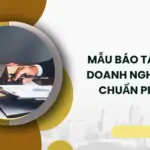 Mẫu báo tài chính doanh nghiệp nhỏ chuẩn pháp lý