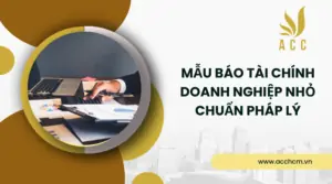 Mẫu báo tài chính doanh nghiệp nhỏ chuẩn pháp lý