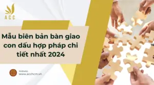 Mẫu biên bản bàn giao con dấu hợp pháp chi tiết nhất 2024