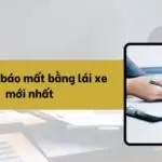 Mẫu đơn báo mất bằng lái xe mới nhất