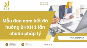 Mẫu đơn cam kết đã hưởng BHXH 1 lần chuẩn pháp lý