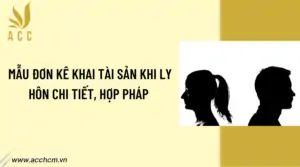 Mẫu đơn kê khai tài sản khi ly hôn chi tiết, hợp pháp 