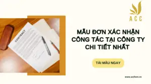 Mẫu đơn xác nhận công tác tại công ty chi tiết nhất