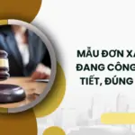 Mẫu đơn xác nhận đang công tác chi tiết, đúng pháp lý