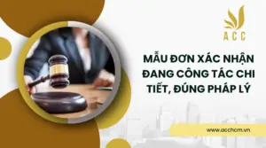 Mẫu đơn xác nhận đang công tác chi tiết, đúng pháp lý